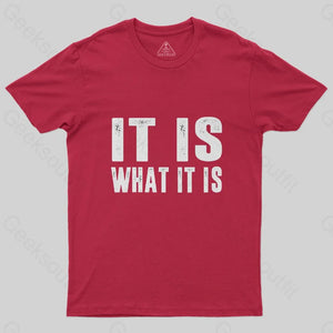 IT IS WHAT IT IS T-Shirt - Geeksoutfit