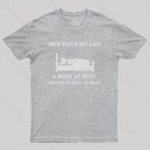 Newton’s First Law T-Shirt Grey / S