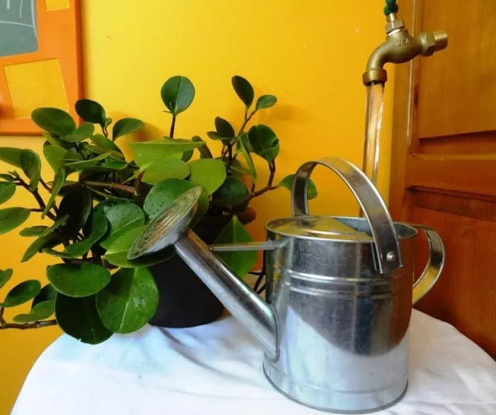 Invisible Flowing Spout Watering Can Fountain Yard Art Decor