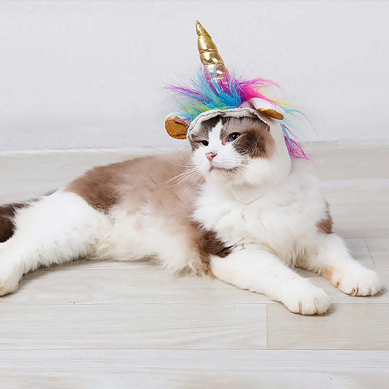 Halloween Dress Cat Headgear Unicorn Pet
