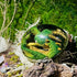 Transparent Dragon Egg Lava Dinosaur Egg Ornamental Collection